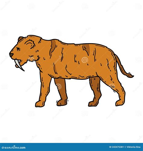 Smilodon Kat Vector Illustratie Illustration Of Paleontologie 243475381