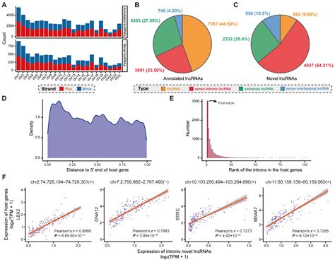 Ijms Free Full Text Comprehensive Transcriptome Analysis Expands