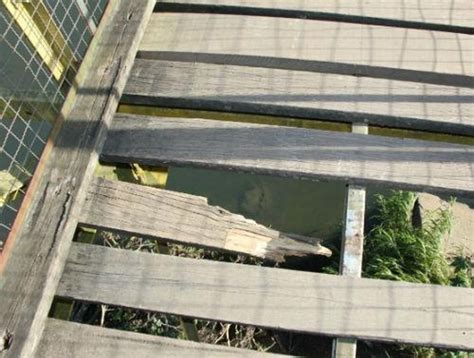 T Bua De Ponte Quebra E Crian A Cai Em Rio Em Curitiba