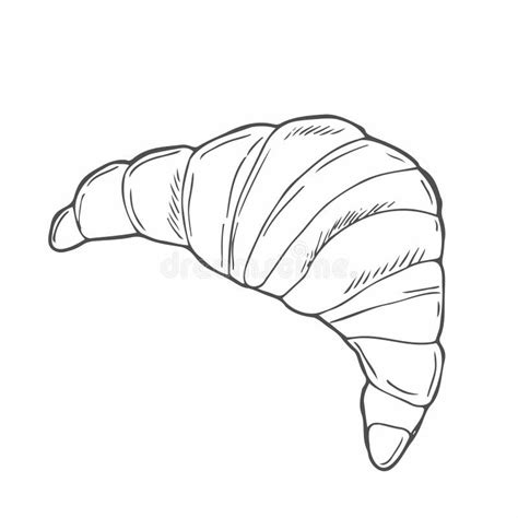 Croissant Doodle A Hand Drawn Vector Doodle Illustration Of A