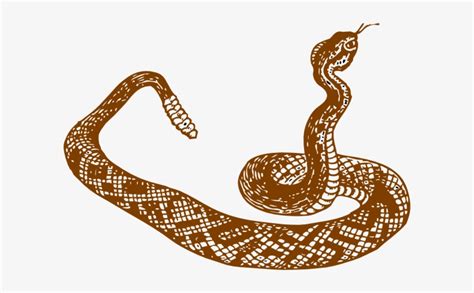 Snake Serpiente Blanco Y Negro Transparent PNG 600x428 Free