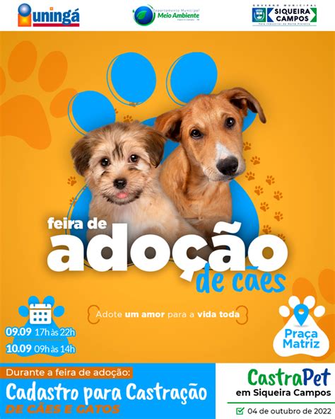 Notícia Nova Feira De Adoção De Cães E Castração Gratuita Para Cães E