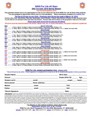 Fillable Online Wins Bb Aau Try Out Form Fax Email Print Pdffiller