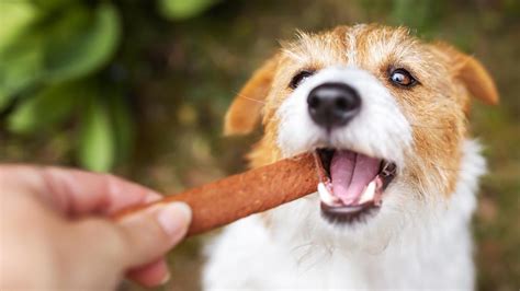 Patas De Pollo La Chucher A Con Col Geno Para Perros Buena Las