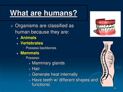 This Document Contains Material Gathered From Mark Hubleys Phd Human