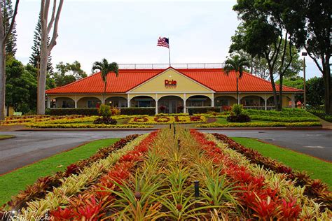 Dole Pineapple Plantation Oahu, Hawaii Photograph by Michael Rucker