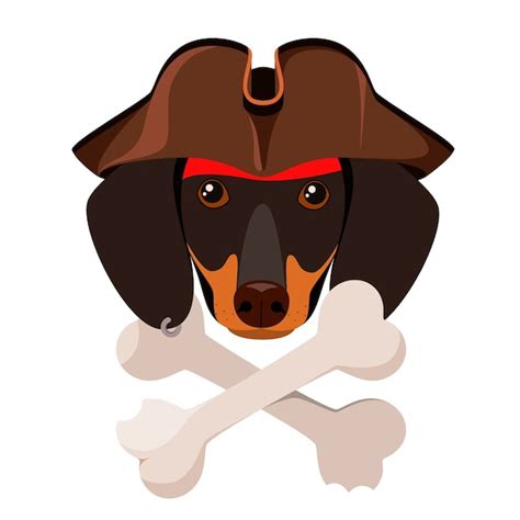 Perro pirata en un diseño de dibujos animados Dachshund de fondo blanco