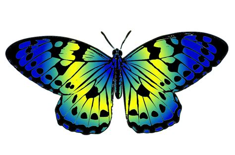 Butterflies Butterfly Clip Art 2 Clipartix