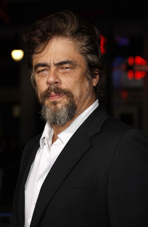 benicio del toro facts britannica