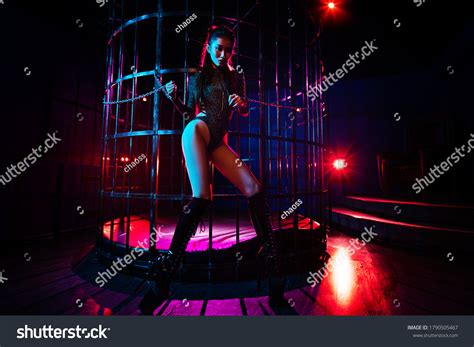 183 Cage Dancer Images, Stock Photos & Vectors | Shutterstock