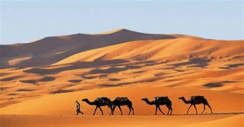 Deserto Do Saara Localiza O E Caracter Sticas Toda Mat Ria