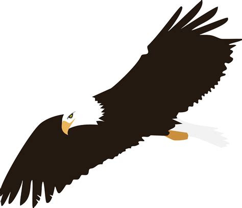 Eagles Clipart Vista Rio Eagles Vista Rio Transparent Free For