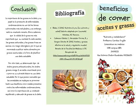 Actividad Tr Ptico Grasas De Comer Conclusi N Bibliograf A Aceites