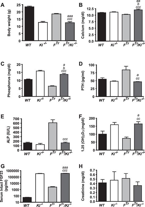 Figure From Klotho Ablation Converts The Biochemical And Skeletal