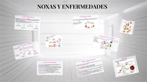 NOXAS Y ENFERMEDADES By Lourdes Almada On Prezi