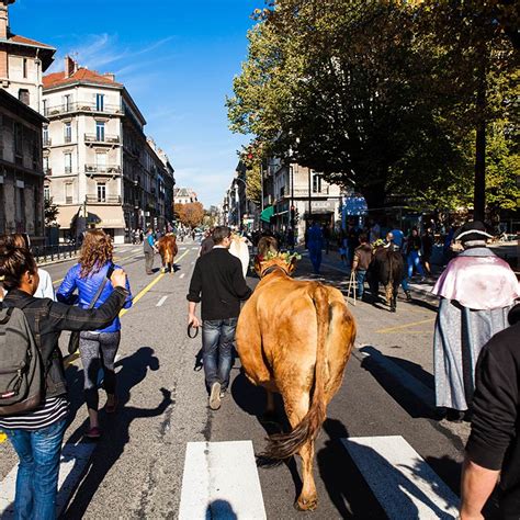 Édition 2023 La Descente Des Alpages