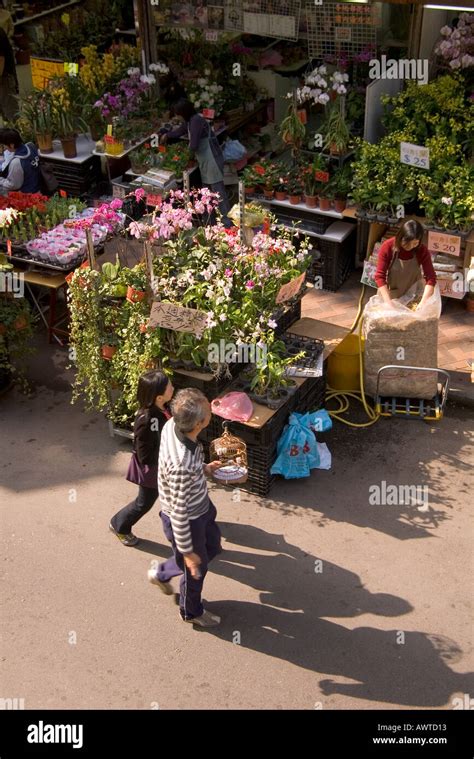 Hong Kong Flowers Bird Hi Res Stock Photography And Images Alamy