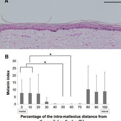 A Representative Section Of Fontana Masson Staining Melanin Contents