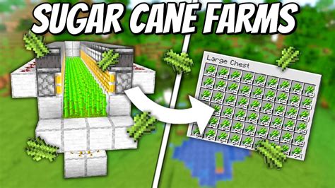 Automatic Sugar Cane Farms Minecraft 1 19 Tutorial YouTube