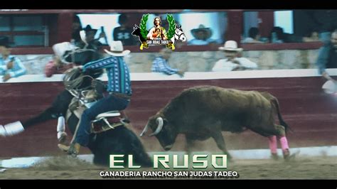 De Los Mejores Toros Michoacanos El Ruso De Rancho San Judas Tadeo En