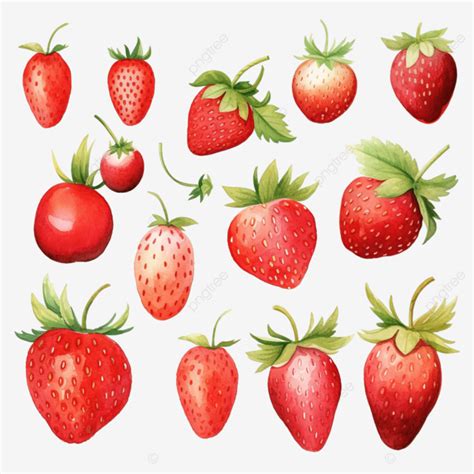 Fresa Fruta Acuarela Elementos Clipart PNG dibujos Fresa Imágenes