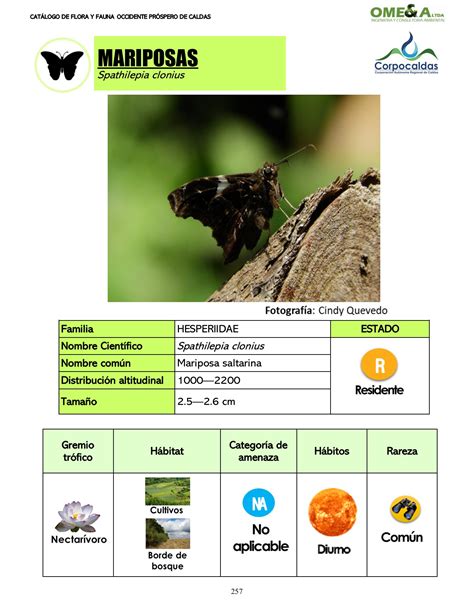 CatÁlogo De Flora Y Fauna Presentaciones348 Página 258 Flip Pdf