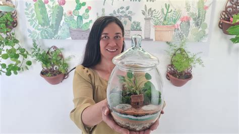 Terrário Fechado Conheça 13 Plantas Para Fazer o Seu