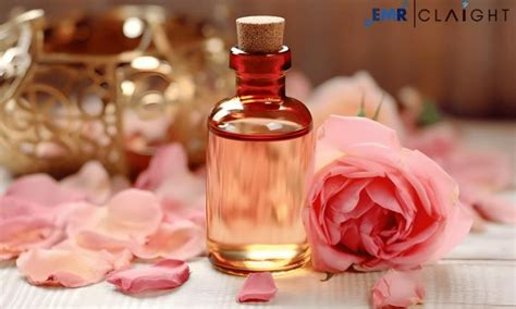 Rose Oil Market Size Share Growth Industry Analysis Trends