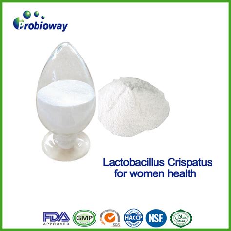 Contract Manufacturer OEM Probiotics Bulk Powder Lactobacillus ...