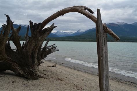 Kitsumkalum Provincial Park Terrace Aktuelle 2020 Lohnt Es Sich Mit Fotos