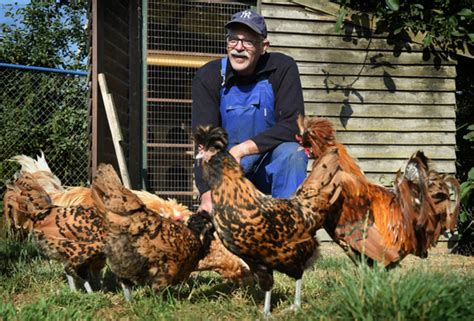 Volkskrant Ochtend Niet Elke Boer Baalt Van De Droogte Kleine