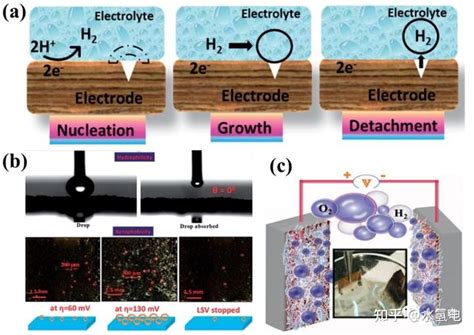 澳大cec：揭示高效水电解的超疏气超亲水电催化剂 知乎
