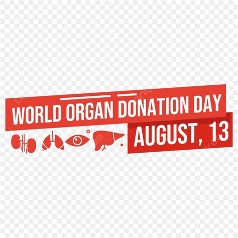 Organ Donation Vector Design Images, World Organ Donation Day, Organ Donation, International ...