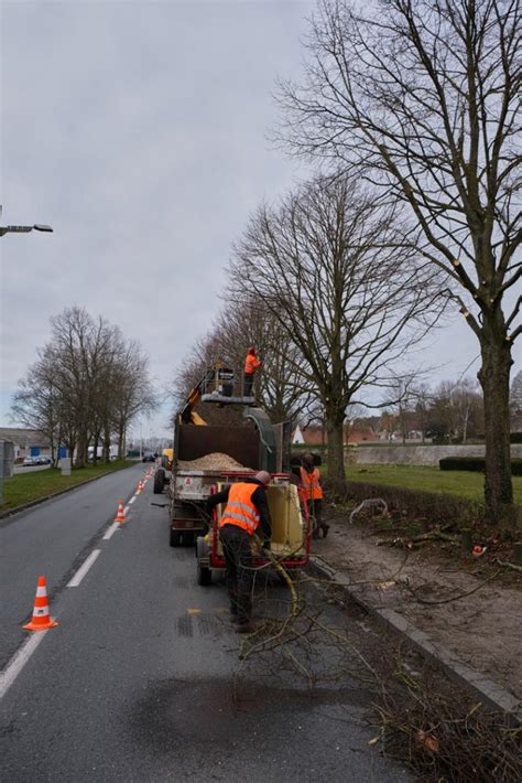 Photos Espace Vert Professionnel Bois Environnement Services