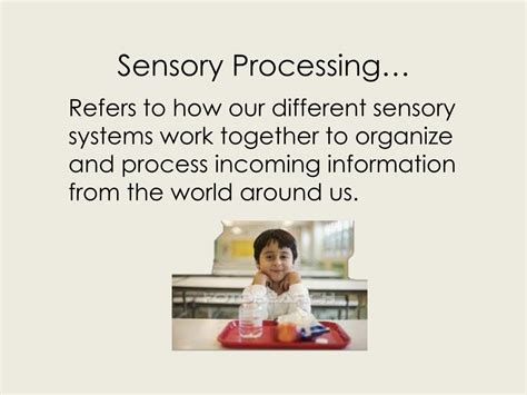 Ppt Sensory Diets Powerpoint Presentation Free Download Id 3120084