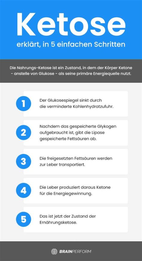 Ketogene Diät Dein Ultimativer Guide Zur Keto Diät [2024]