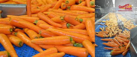 Dominion Farm Produce | Country Fresh Brand® Carrots