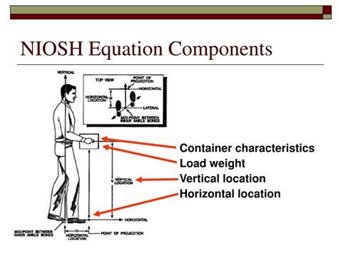 PPT Psyc 552 Ergonomics Biomechanics PowerPoint Presentation ID