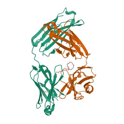 Rcsb Pdb Jxc Mapping Neutralizing And Immunodominant Sites On The