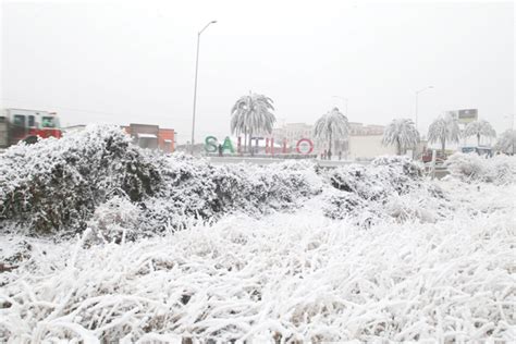 Prepara Coahuila Declaratoria De Emergencia Por Helada