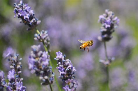 Home Naked Studs Of Faith