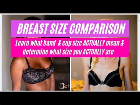 Bra Size Measurement Cup Size A B C D Dd Bra Sizes And Extra