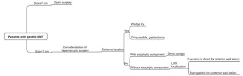 Image Based Approach For Laparoscopic Wedge Resection Smt Submucosal