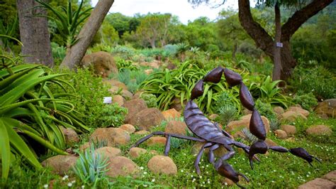 The Walter Sisulu Botanical Gardens | Fasci Garden