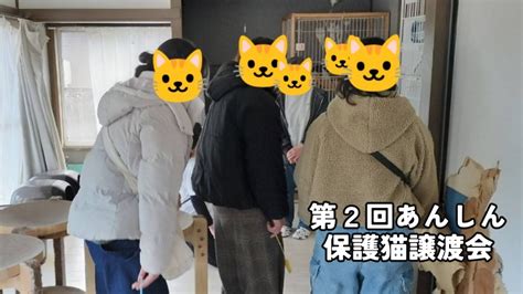 4名さまご来訪🐈第2回あんしん保護猫譲渡会でした 保護猫シェルターにゃんと