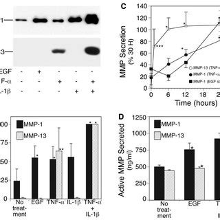 Effects Of Egf Tnf And Il On Mmp And Mmp Secretion By Ags