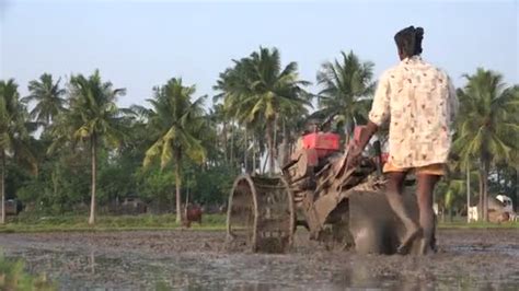 Farmer Ploughing With Cow Videos Royalty Free Stock Farmer