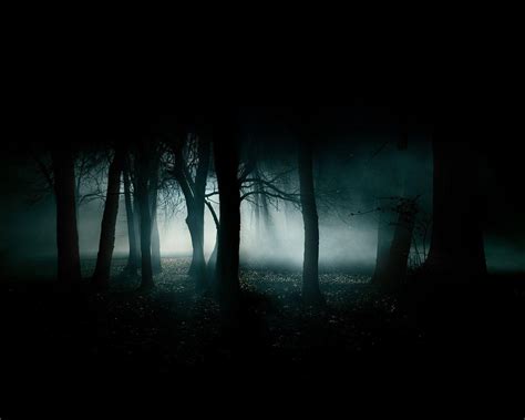 Wallpaper Sunlight Forest Dark Night Morning Mist Gloomy