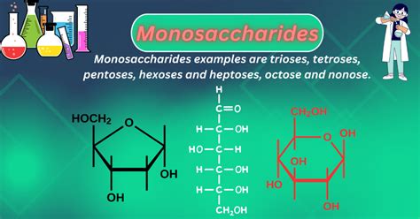 Monosaccharides Types Examples Fischer Projection