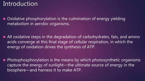 Oxidative Phosphorylation Ppt